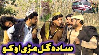 Sada Gul Marree Oko Pashto New Funny Video Dubai Vines 2024 #trending #unfrezzmyaccount #pashtofunny