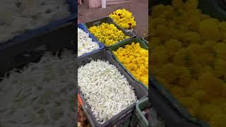 Goan market life #india #youtube #youtubeshorts #shortvideo #viral #trending #love #shortsvideo