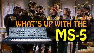 Behringer MS-5 Synthesizer User Review [Demo 01]