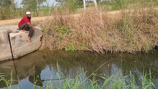 Baamfishes fishing in Deep ponds|Fisher Man fishing in Baamfish and TILAPIAFISHES fishing in Village