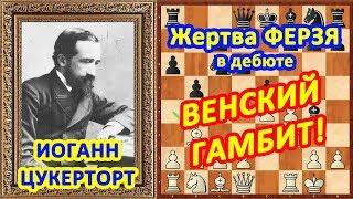 Шахматы  Цукерторт  Шахматные ЛОВУШКИ в дебюте Венский гамбит!