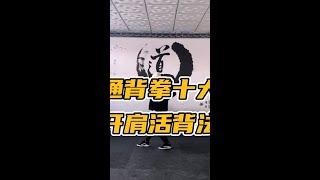 My ten methods for opening the shoulder and back in Tongbei boxing # Zhao Honggang # Tongbei style