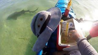 Key West Kayak Cooking - Mangrove Snapper Ceviche w/Sharks - Cooking On The Water.