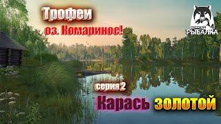 Русская Рыбалка 4: Трофейный Карась Золотой на оз. Комариное