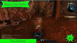 Steam Test Drive: Neverwinter 01