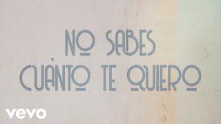 Camilo Sesto - No Sabes Cuanto Te Quiero (Lyric Video)