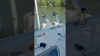 Caught a Monster Catfish in 22 Seconds! Subscribe for More!