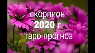 СКОРПИОН 2020 ГОД ТАРО-ПРОГНОЗ ГАДАНИЕ ОНЛАЙН