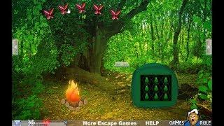 Bosky Forest Escape walkthrough Games2Rule G2R.