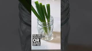 How to Store Green Onions #shorts