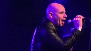 The Arch - Babsi Ist Tot (Live @ BIMFEST XIV - Antwerpen - 19-12-2015)