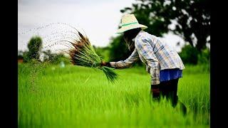 Some interesting agricultural pictures.