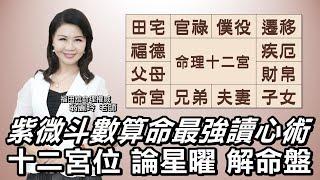 算命最強讀心術「紫微斗數」12宮位論星曜解命盤！