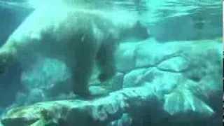 Queensland Day 2 - Seaworld