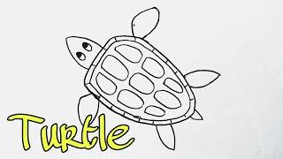 How to draw Turtle | Fun Drawings | Step by step drawing | DK Kids Drawing