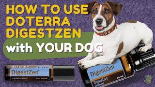 How to Use doTERRA DigestZen with Your Dog