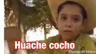 Guache cocho