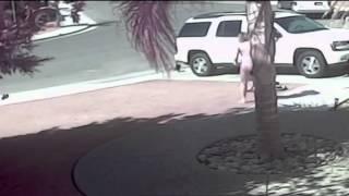 Tara the cat saves 4 year old boy from dog attack - USA story from Chennel 5 news UK - 15th May 2014