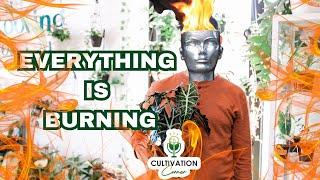 Cultivation Corner Podcast Ep 4 - Plant Burnout: How to Love Your Plants Again Without the Stress