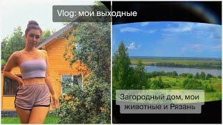 Vlog: уехала в Рязань. Новый дом и мои животные