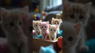 funny cat videos singing APT #cat #shorts #funny #viralcats  #trending #edit #ai #fyp #funniestvideo