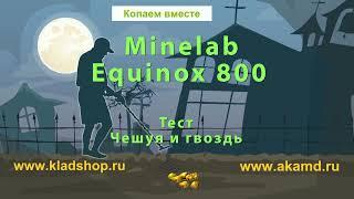 Minelab Equinox 800 Тест - Чешуя и гвоздь