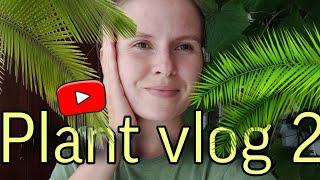 Plant vlog 2: новая Подсветка  для растений/Что нового?/ Обзор комнатных растений