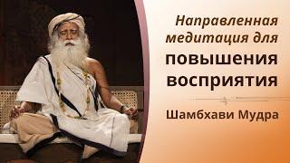 Направленная медитация для улучшения восприятия: Шамбхави Мудра