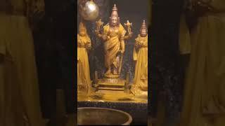 please like subscribe