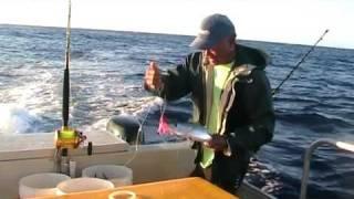 Hawaii Fishing Action Season #1 - Full Length