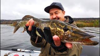 ЛОВЛЯ ЩУКИ НА СПИННИНГ ОСЕНЬЮ. Щучий патруль 2019. Kamfish