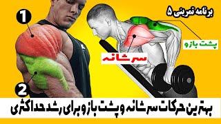 بهترین حرکات سرشانه و پشت بازو - برنامه تمرینی 5