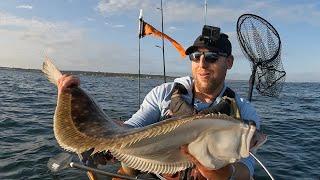 The MASSIVE Fluke (Flounder) I Was Looking For All Season! Kayak Fishing with @PeterRanieriII