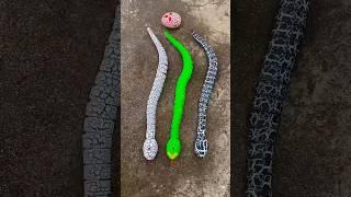 3 Remote Control snake Testing #racing #car #cartoon #snake #birds #asmr #shorts #redkashshorts