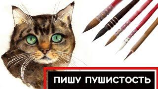 Урок Рисования Акварелью: ТЕХНИКИ И ПРИЁМЫ // Учимся Рисовать Шерсть // Кот Акварелью