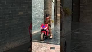 Kia krta Boss Ana para By Dsp Mukarram #love #duet #bollywood #funny #popularsong #singingmelody