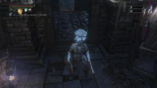 Так выглядит боль и потраченые сутки фарма # This is how pain looks like Bloodborne