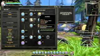 Dragon Nest : Crusader  PVE Skill Build  for Lv. 90