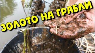 ЗОЛОТО на ПОИСКОВЫЕ ГРАБЛИ