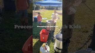 Meat Chicken Processing Day ️