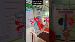 Dronacharya ayurvedic educational institute #viralvideo #pathology #rognidan #department #shorts #yt