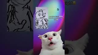 #foryou #anime #fyp #reels #shorts #youtubeshorts #memes #tiktok #foryoupage #greenscreen