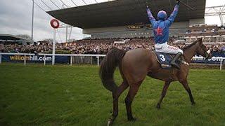 The season Cue Card became ''The People's Horse''