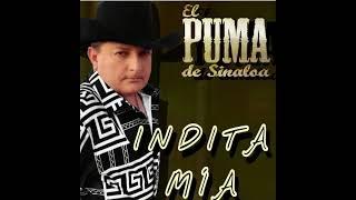 EL PUMA DE SINALOA  INDITA MIA