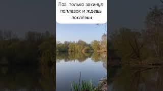 #карп #прикол #рыбалка #обзор #юмор #мем #рыбалкавидео #рыболовная #жиза #fishing