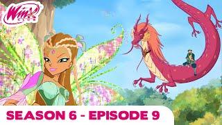 Winx Club - FULL EPISODE | Shrine of the Garden Dragon | Season 6 Episode 9