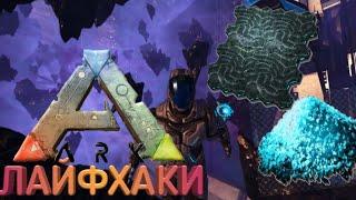 5 лайфхаков в ARK SURVIVAL EVOLVED