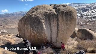 Bishop「Bubba Gump」V10