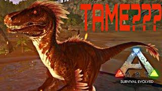 Can we tame Alpha Raptor? - Ark Mobile