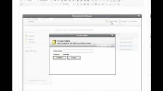 How to Upload Documents with TinyMCE